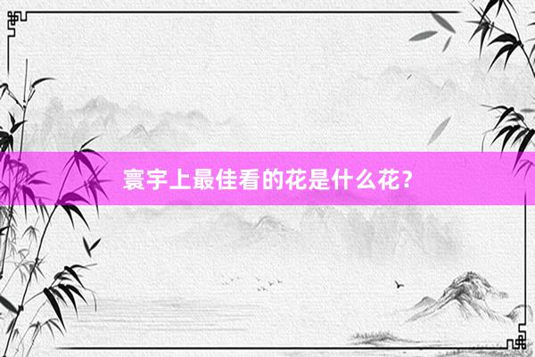 寰宇上最佳看的花是什么花？